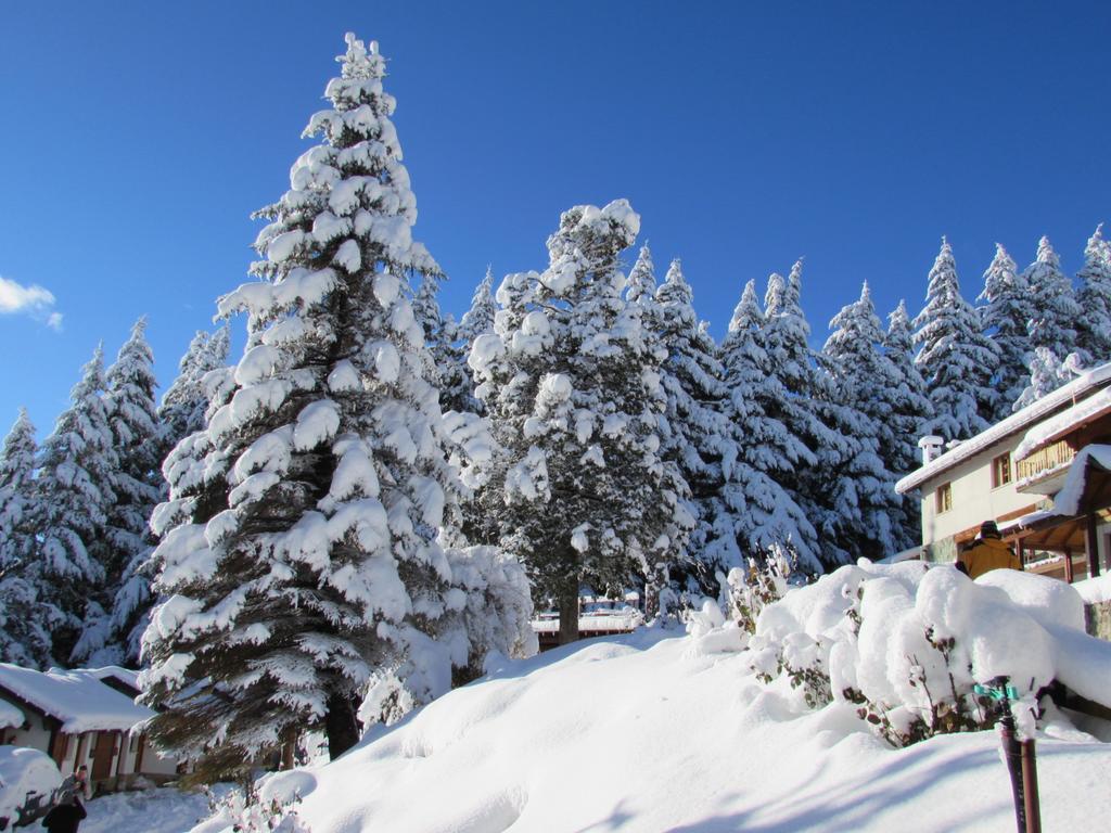 Ruca Piren Villa San Carlos de Bariloche Kültér fotó